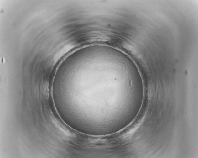 X0000088891113200706221833