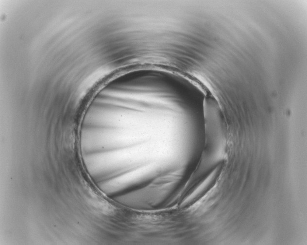 X0000088891115200706221833