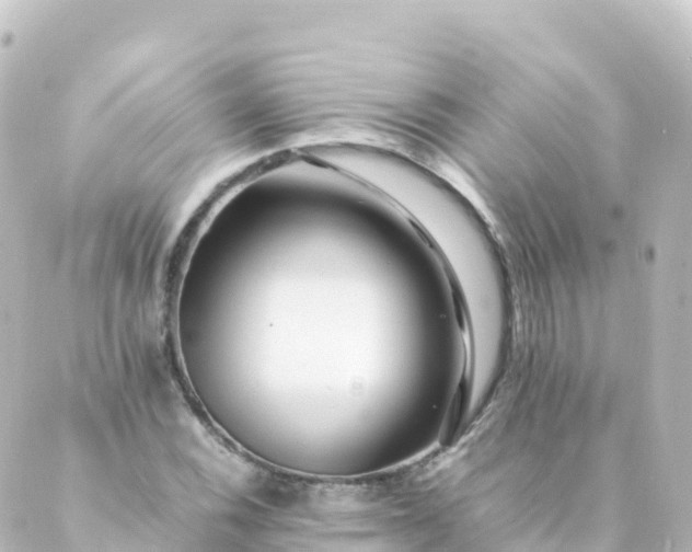 X0000088891116200706221833