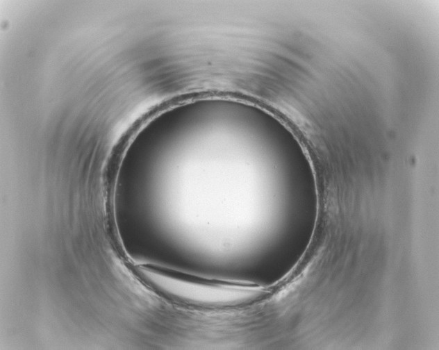 X0000088891118200706221833