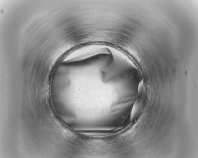 X0000088891119200706221833