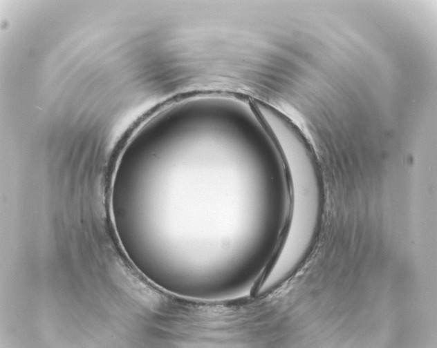 X0000088891120200706221833