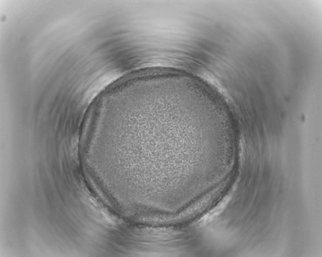 X0000088891121200706221833