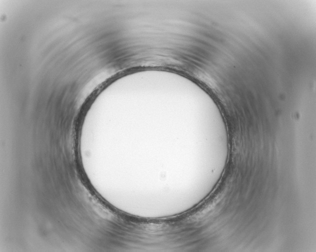 X0000088891122200706221833