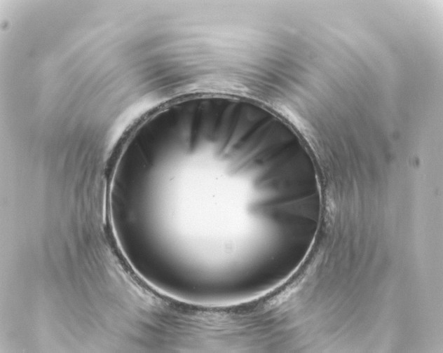 X0000088891123200706221833