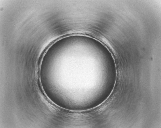 X0000088891124200706221833