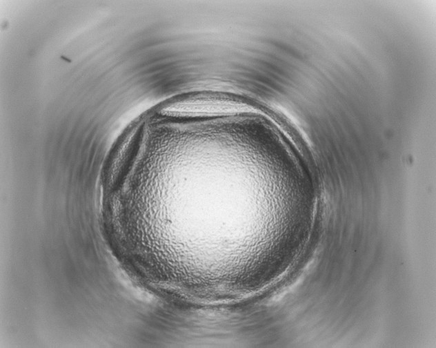 X0000088891125200706221833