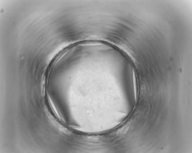 X0000088891126200706221833