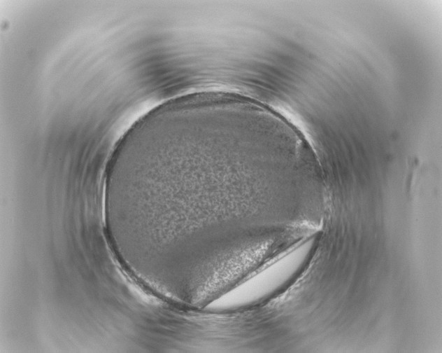 X0000088891127200706221833