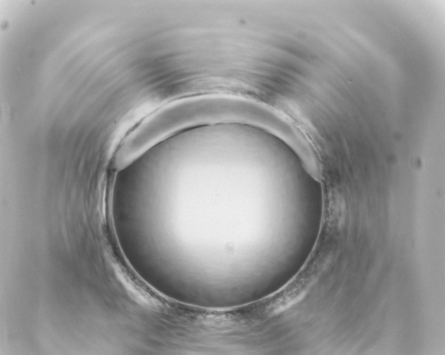 X0000088891128200706221833