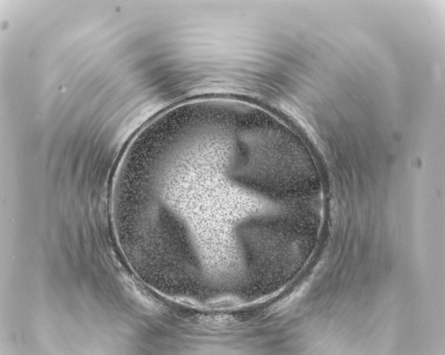 X0000088891129200706221833