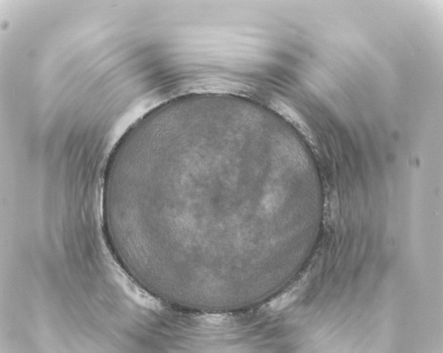 X0000088891130200706221833