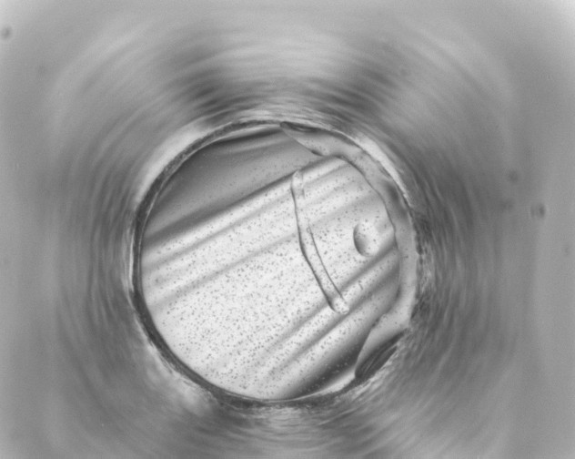 X0000088891131200706221833