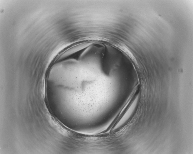 X0000088891132200706221833