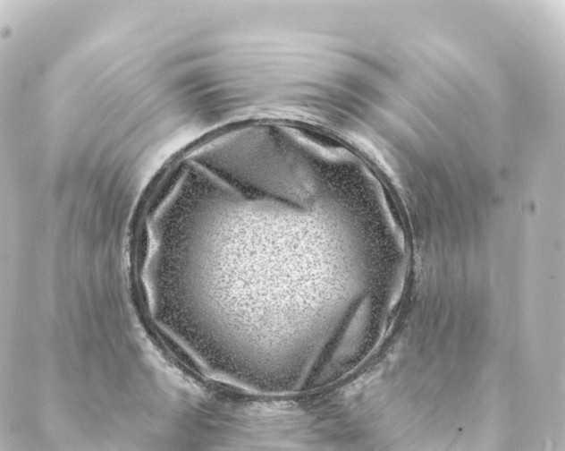 X0000088891133200706221833