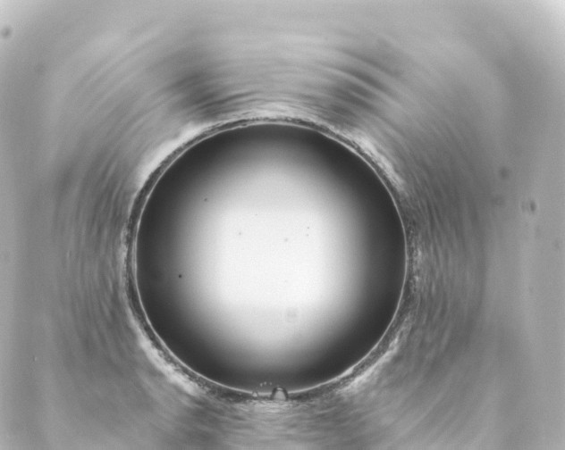 X0000088891134200706221833