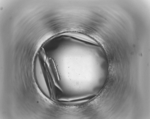 X0000088891135200706221833