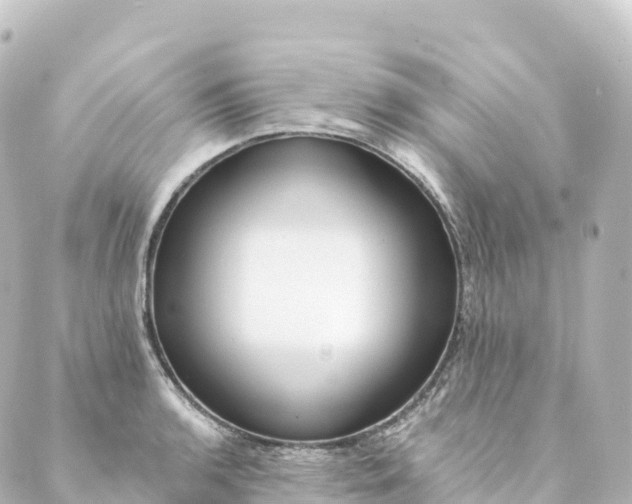 X0000088891136200706221833