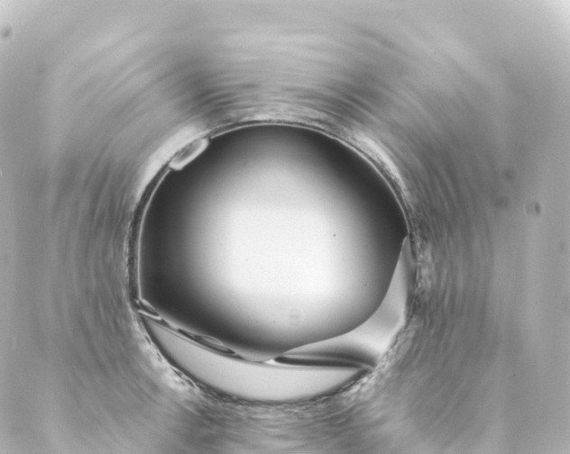 X0000088891138200706221833