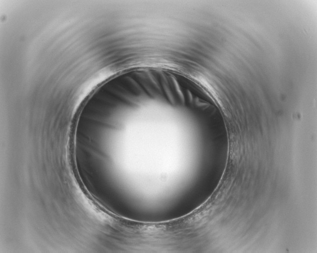 X0000088891139200706221833