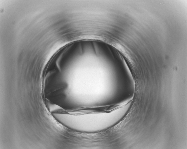 X0000088891140200706221833