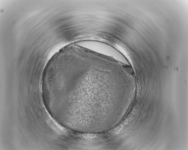 X0000088891141200706221833