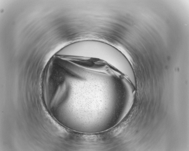 X0000088891142200706221833