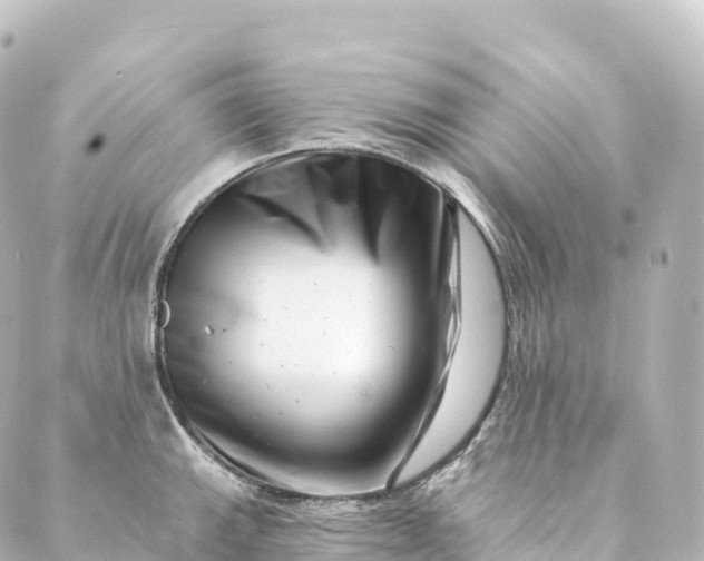 X0000088891143200706221833