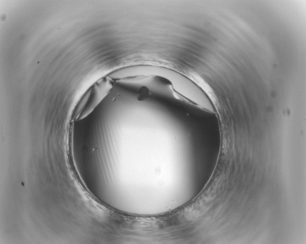 X0000088891144200706221833