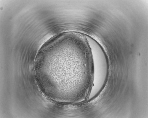 X0000088891145200706221833