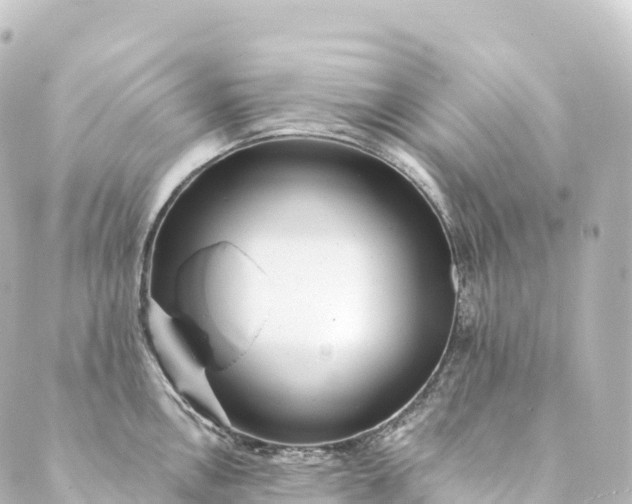 X0000088891146200706221833