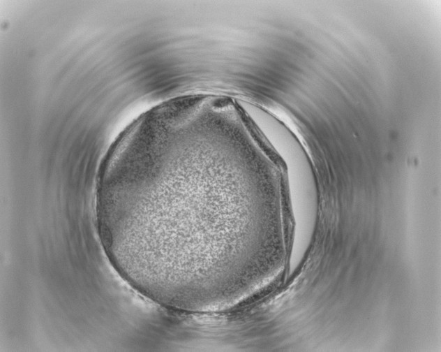 X0000088891147200706221833