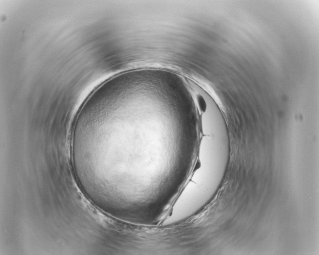 X0000088891148200706221833