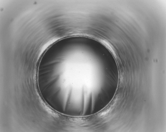 X0000088891149200706221833