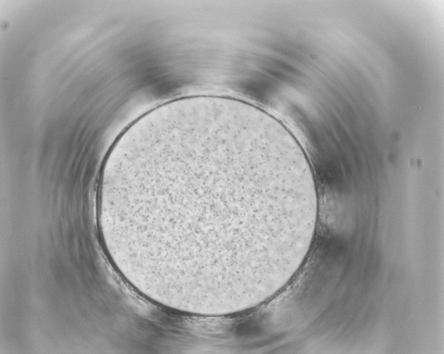 X0000088891150200706221833