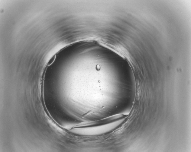 X0000088891151200706221833