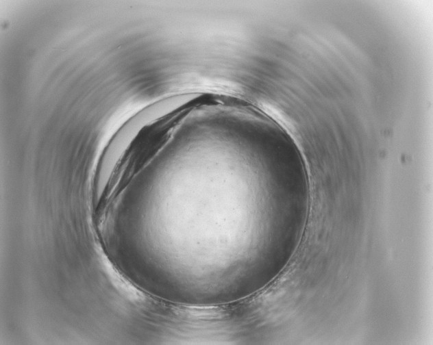 X0000088891152200706221833