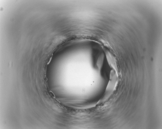 X0000088891153200706221833