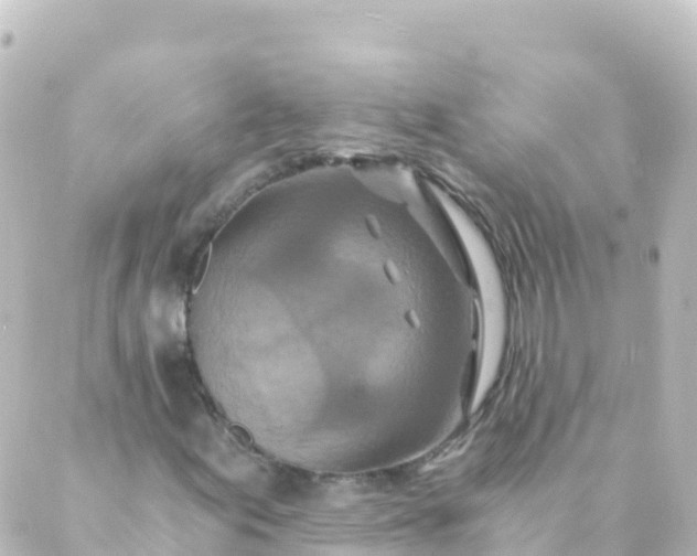 X0000088891155200706221833