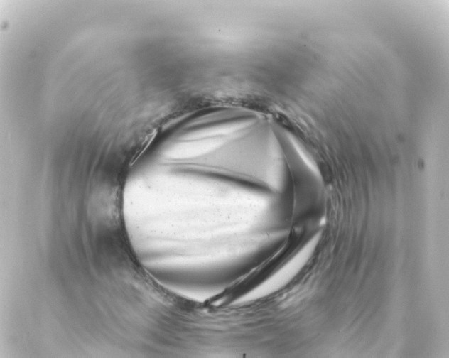 X0000088891156200706221833