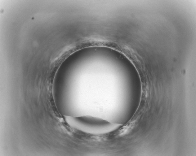 X0000088891157200706221833