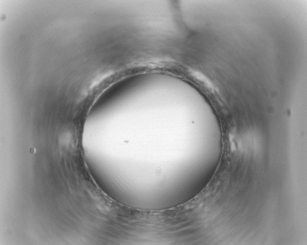 X0000088891158200706221833