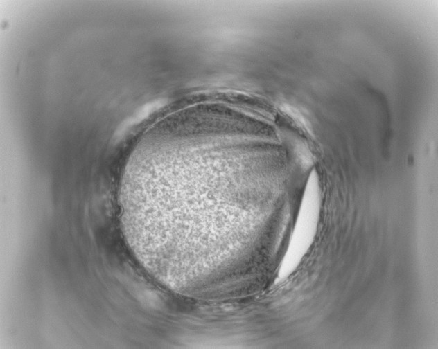 X0000088891159200706221833