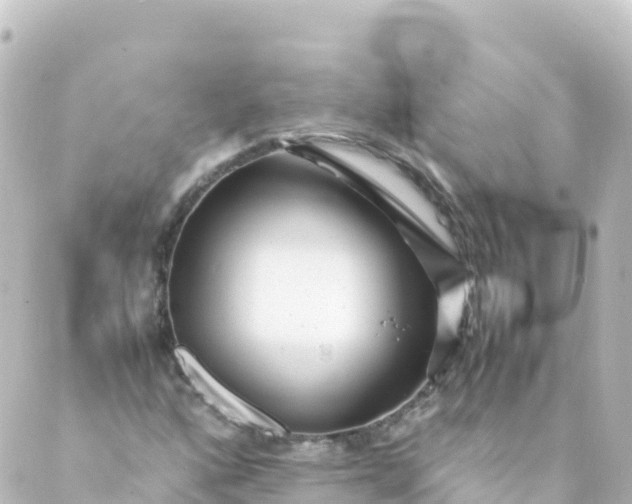 X0000088891160200706221833