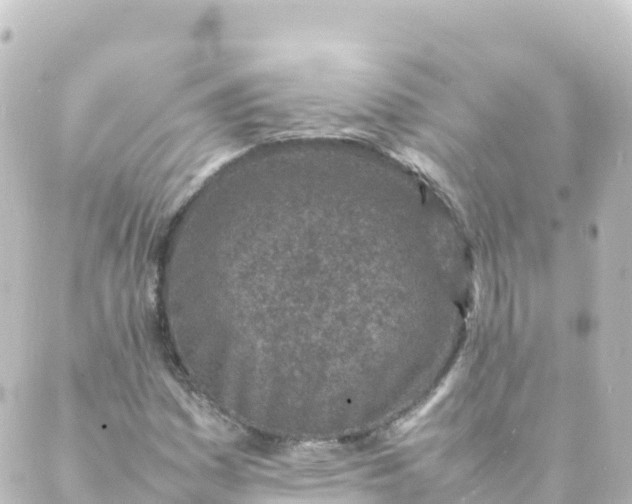 X0000088891161200706221833