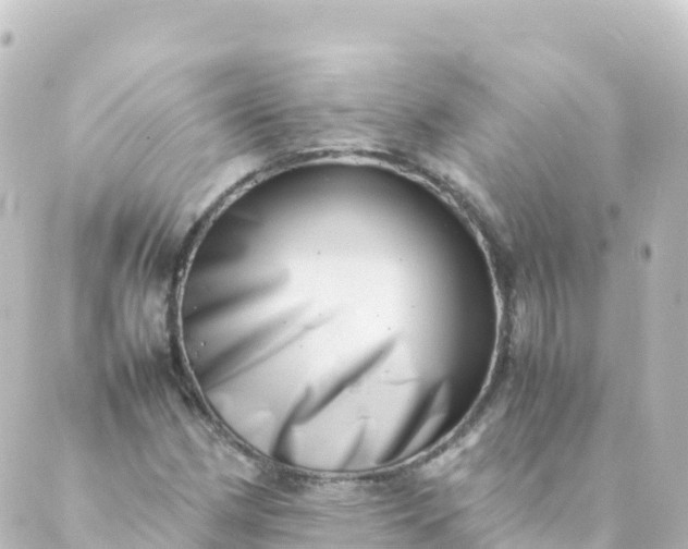 X0000088891162200706221833