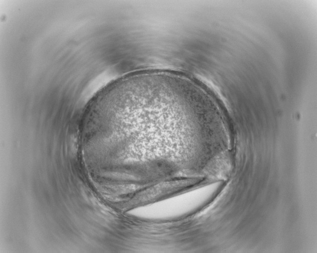 X0000088891163200706221833