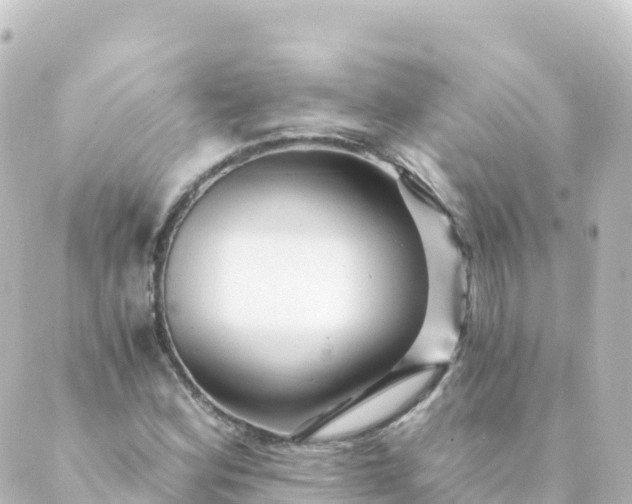 X0000088891164200706221832