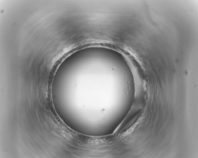 X0000088891165200706221832