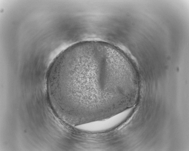 X0000088891167200706221832